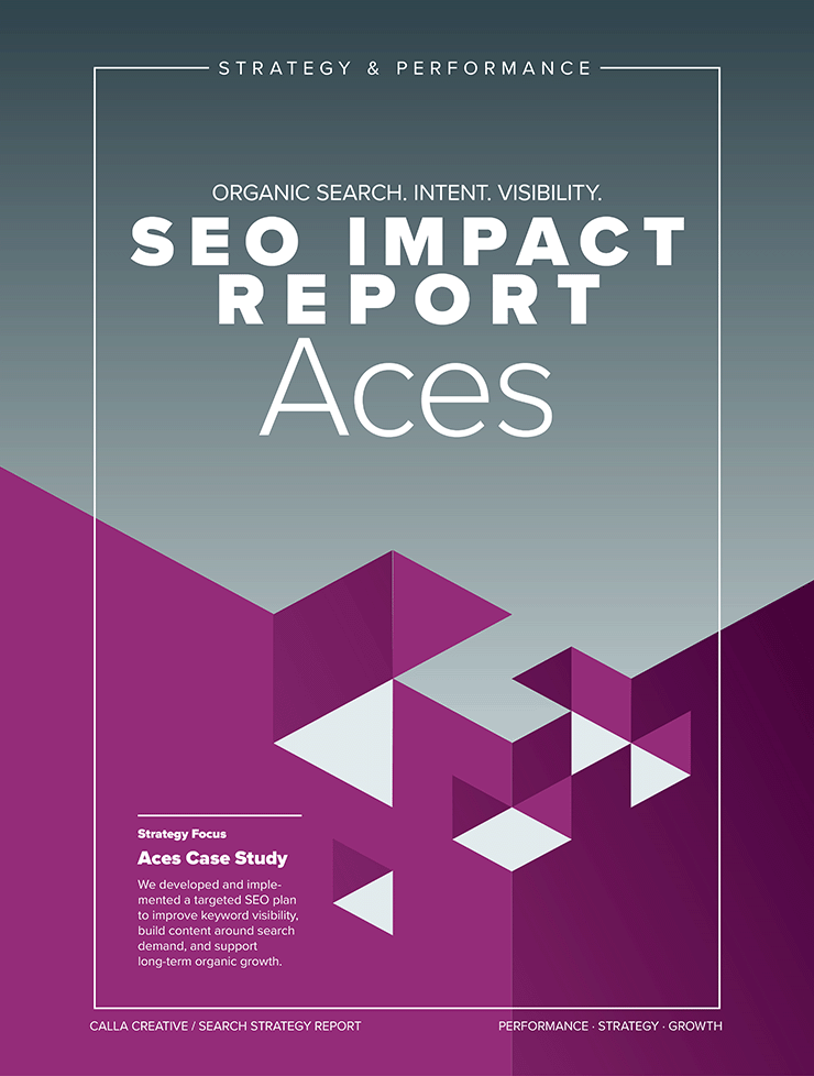 ACES - Seo Report Cover